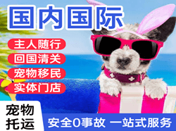 西双版纳机场物流国际宠物托运 【国